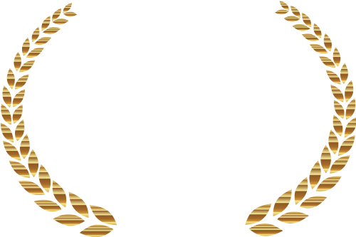 Best Marketing Analytics 2021 W3 Award